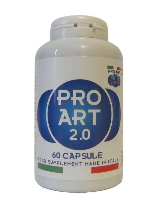 PRO ART 2.0