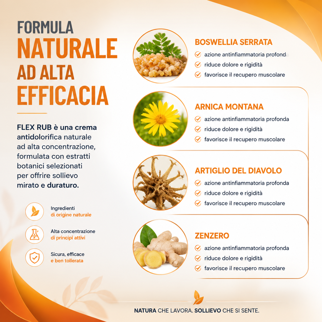 Flex Rub Crema Antidolore Naturale 100ml – Arnica, Boswellia, Artiglio del Diavolo