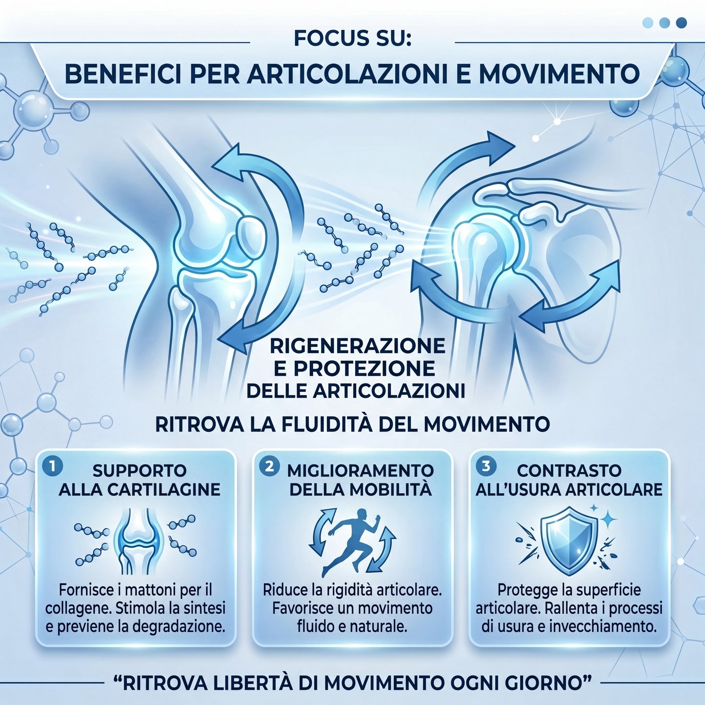 PHYTO HEPA + PRO ART Collagene 10.000 mg – Kit 1 Mese Anti-Aging