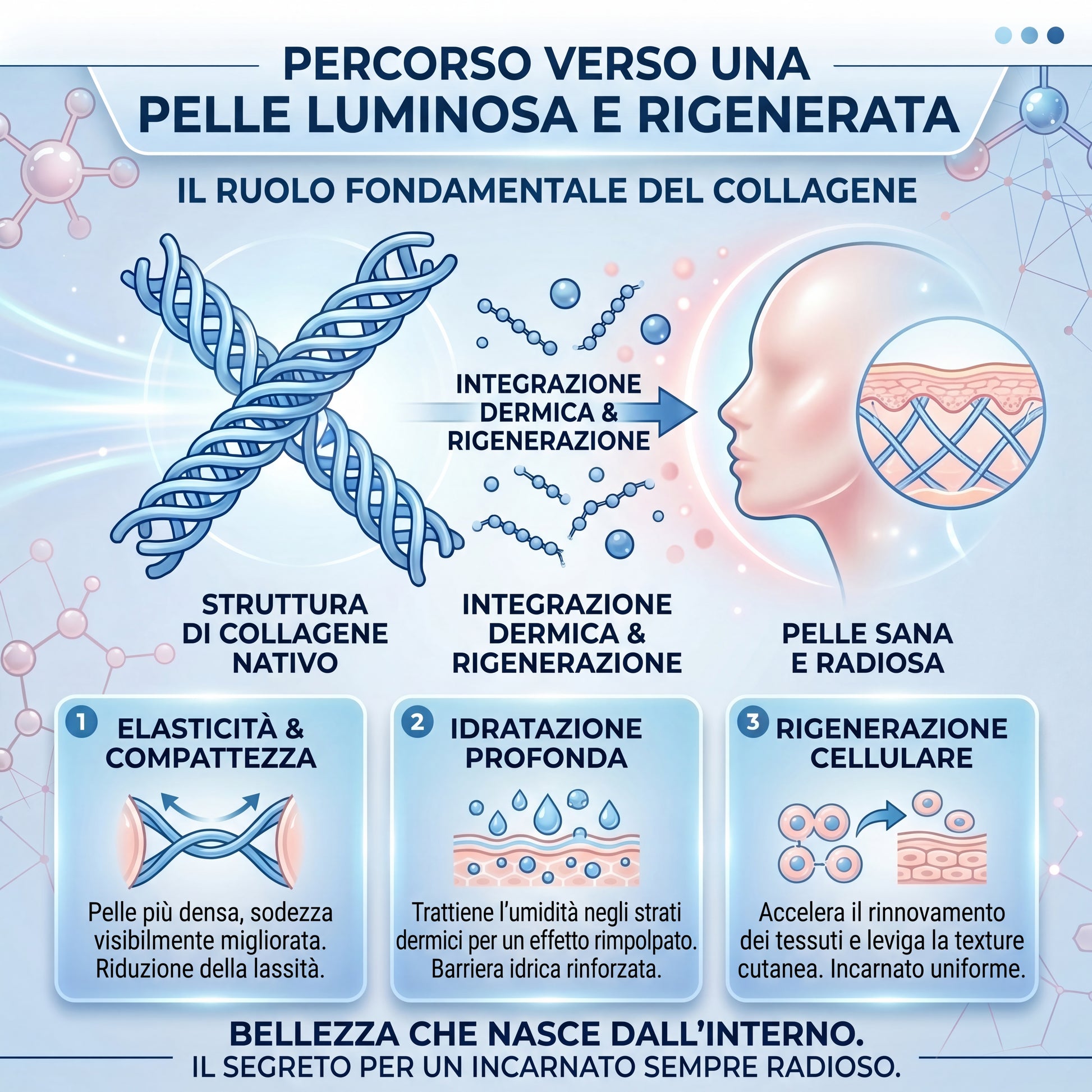 Infografica sul ruolo del collagene per una pelle luminosa e rigenerata. Spiega il processo di integrazione dermica per una pelle sana e radiosa attraverso 3 azioni principali: elasticità e compattezza (pelle più densa, sodezza migliorata e riduzione della lassità), idratazione profonda (trattiene l'umidità per un effetto rimpolpato e barriera idrica rinforzata) e rigenerazione cellulare (rinnovamento dei tessuti per una texture levigata e un incarnato uniforme).